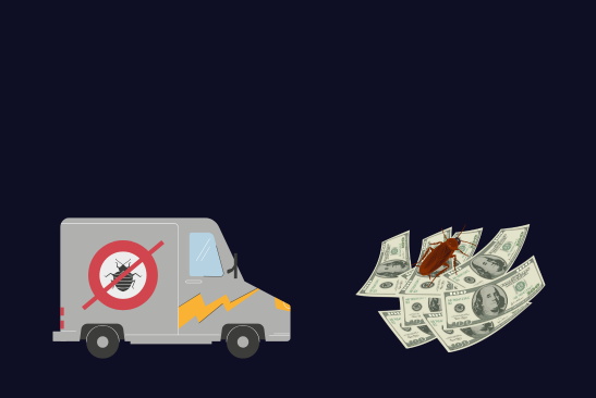 SEO For Pest Control Companies